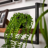 Wall Shelf Elio HomeHaven Brown LxBxH 66x33x11 Acacia wood Nnb